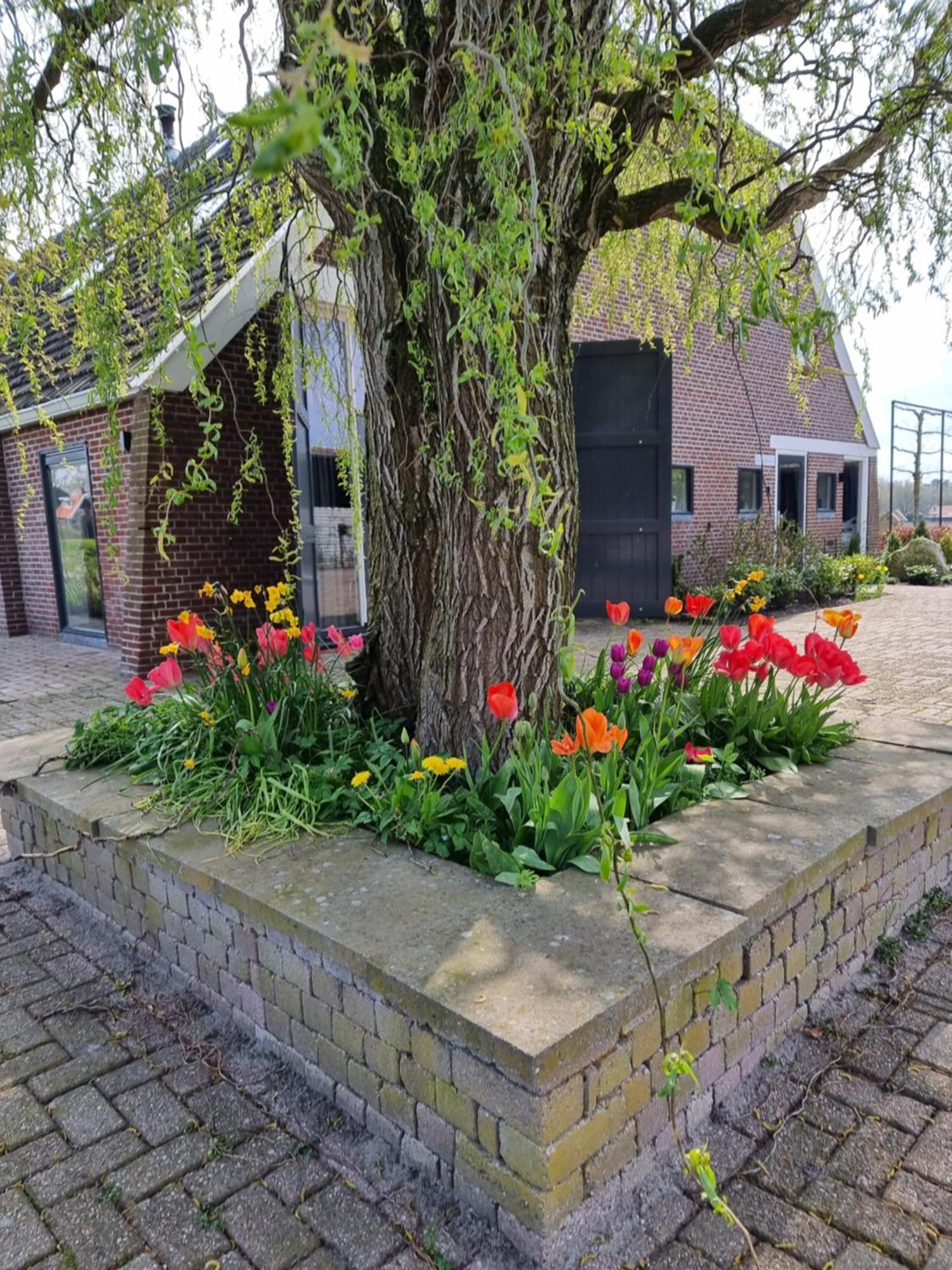 Bed and Breakfast De Schotse Hooglander Smilde Exteriér fotografie